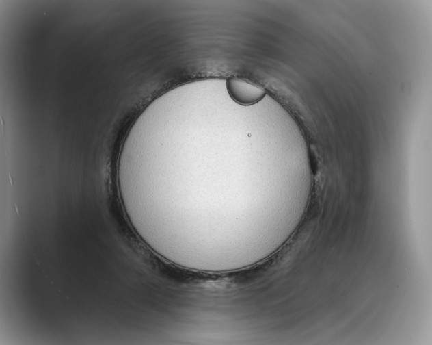 X0000088850306200707061038
