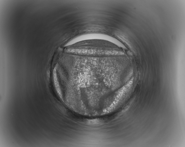 X0000088850309200707061038