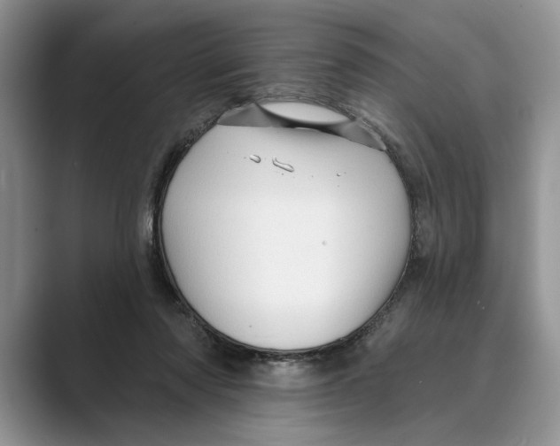 X0000088850310200707061038