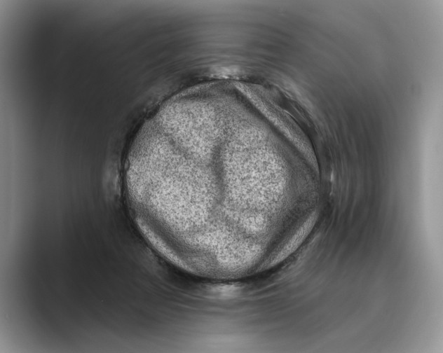 X0000088850313200707061037