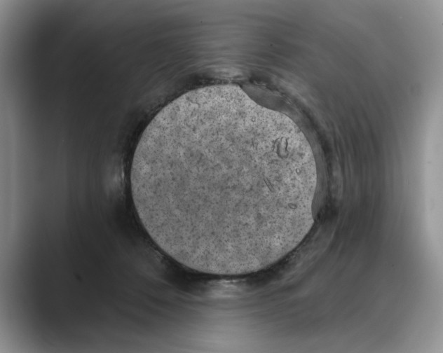 X0000088850320200707061037