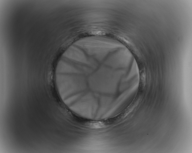 X0000088850322200707061037