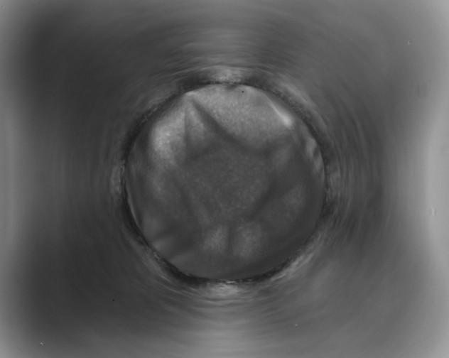 X0000088850325200707061037