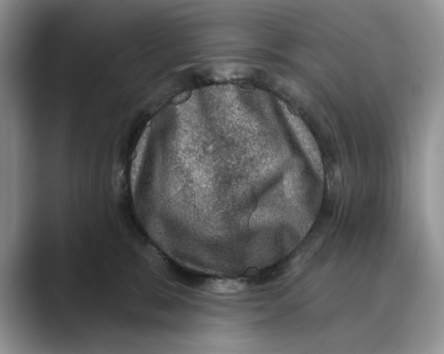 X0000088850327200707061037