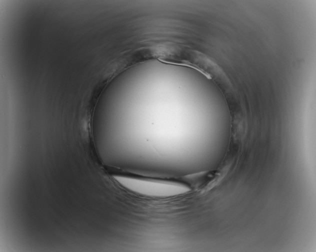 X0000088850329200707061037