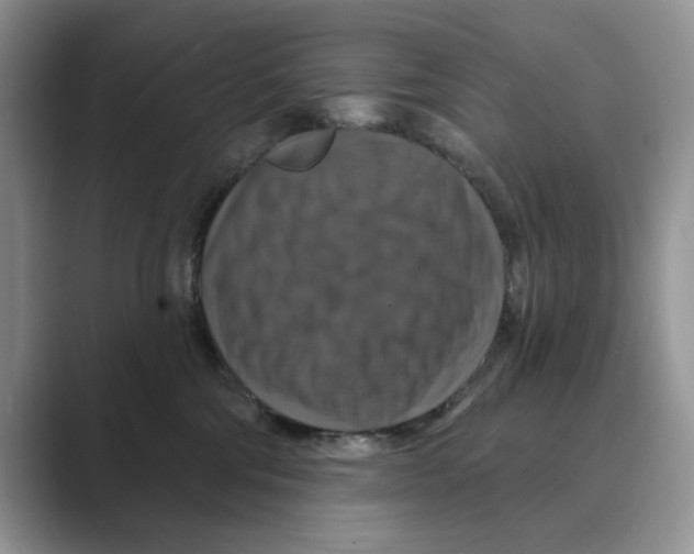 X0000088850330200707061037