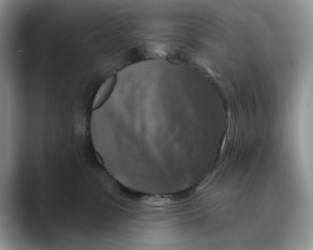 X0000088850331200707061037