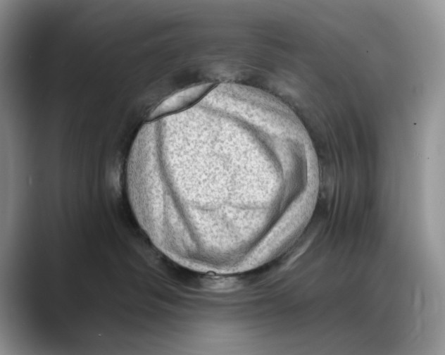 X0000088850334200707061037