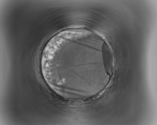 X0000088850337200707061037