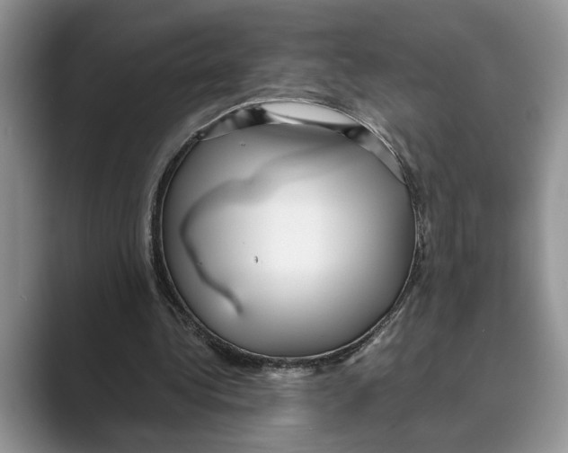 X0000088850340200707061037