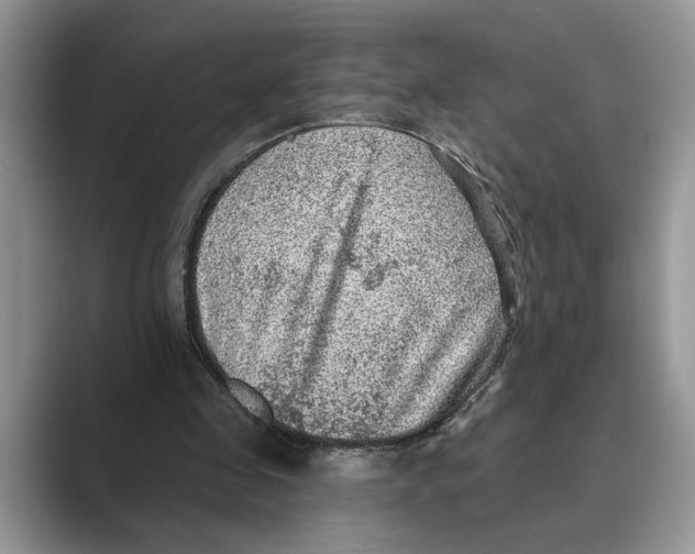 X0000088850341200707061037