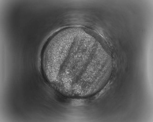 X0000088850342200707061037