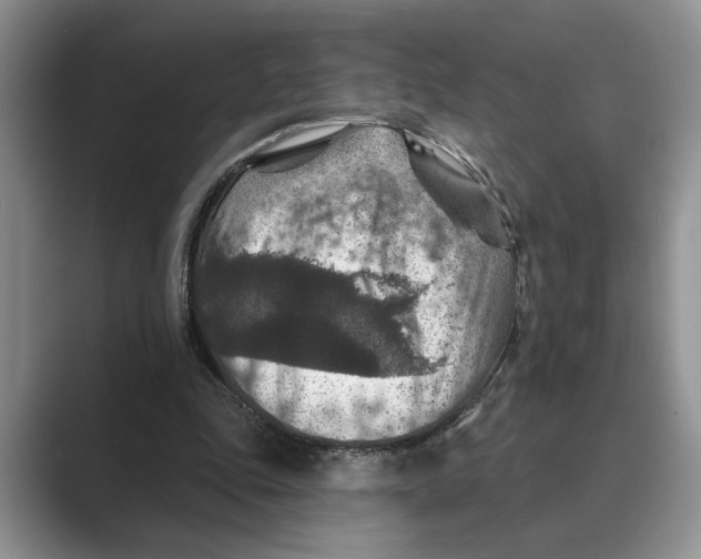 X0000088850343200707061037