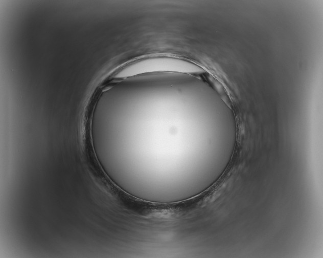 X0000088850344200707061037