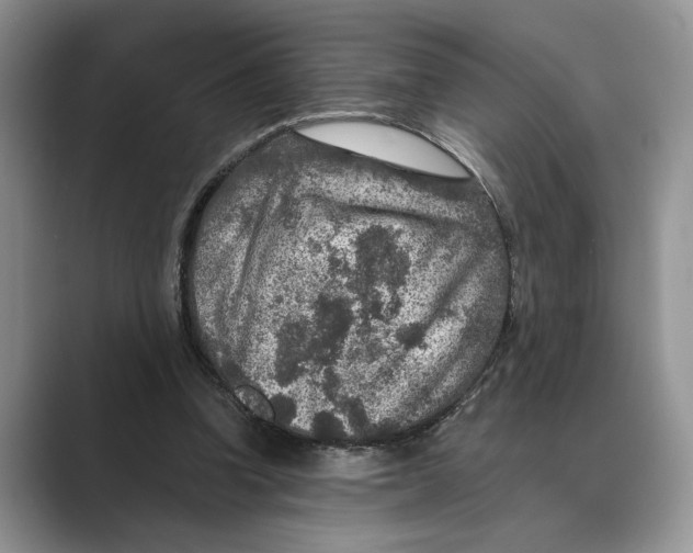 X0000088850346200707061037