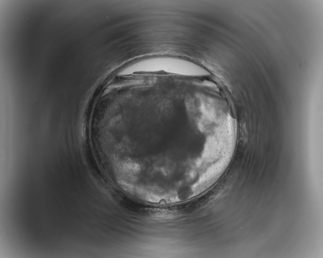 X0000088850347200707061037