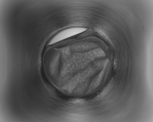 X0000088850348200707061037