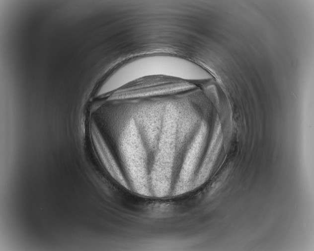 X0000088850350200707061037