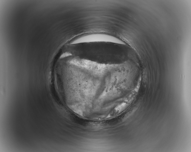 X0000088850351200707061037