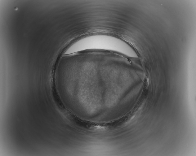 X0000088850352200707061037
