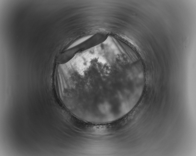 X0000088850353200707061037