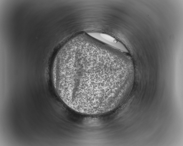 X0000088850354200707061037