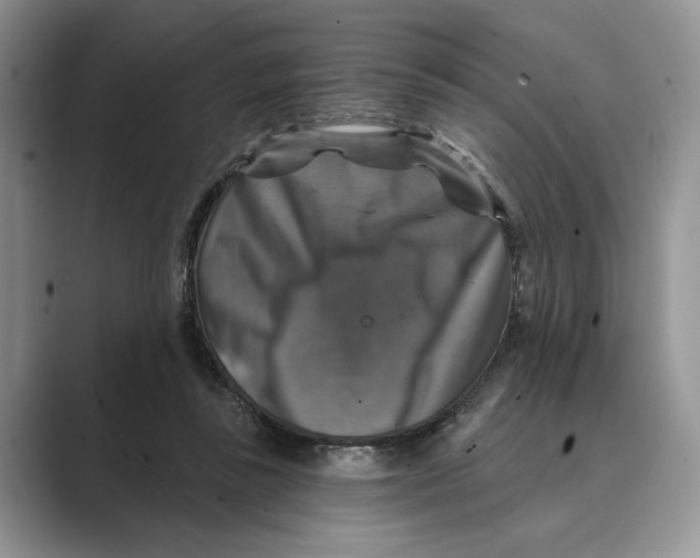 X0000088850355200707061037