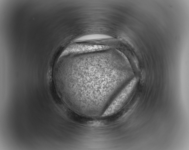 X0000088850356200707061037