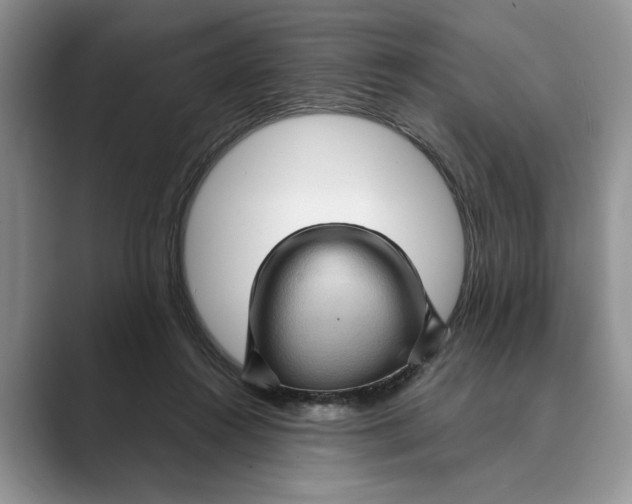 X0000088850360200707061037
