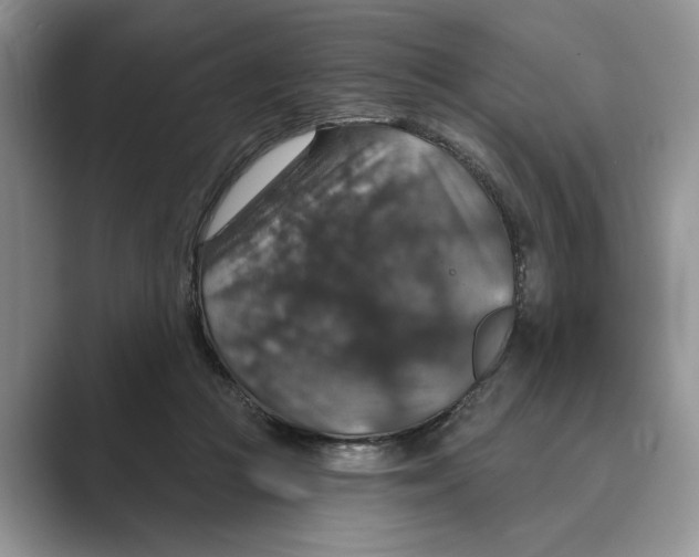 X0000088850361200707061037