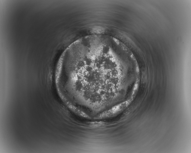 X0000088850363200707061037