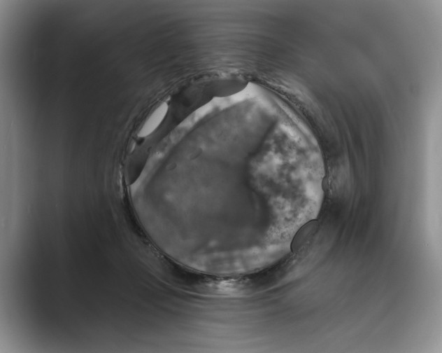 X0000088850365200707061037