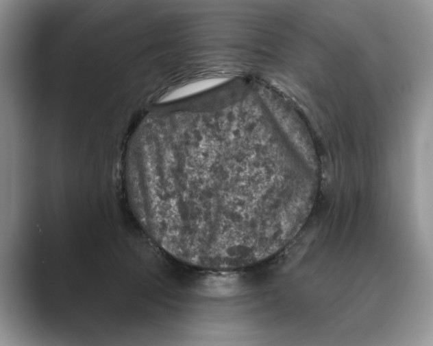 X0000088850369200707061037
