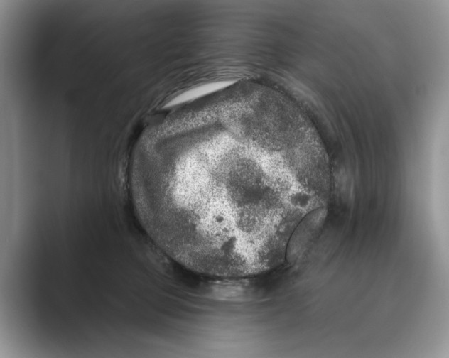 X0000088850373200707061037
