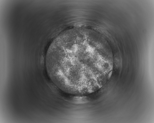 X0000088850375200707061037