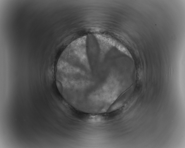 X0000088850376200707061037