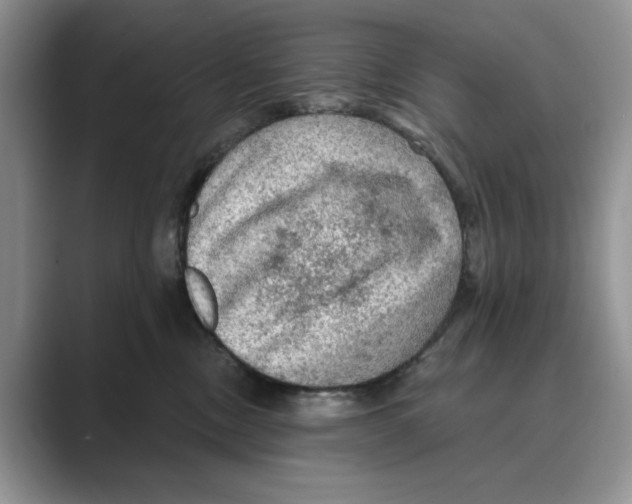 X0000088850378200707061037
