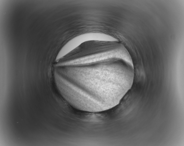 X0000088850379200707061037