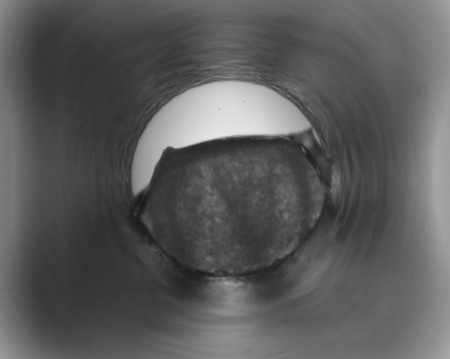X0000088850380200707061037