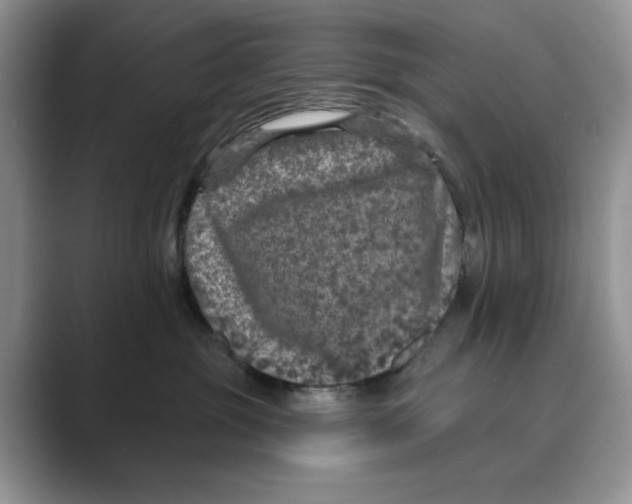 X0000088850381200707061037