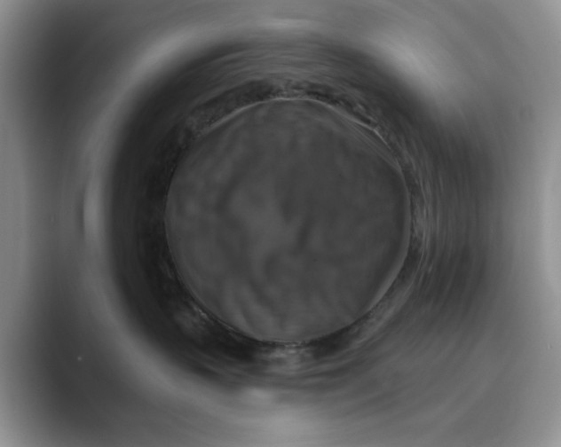 X0000088850383200707061037
