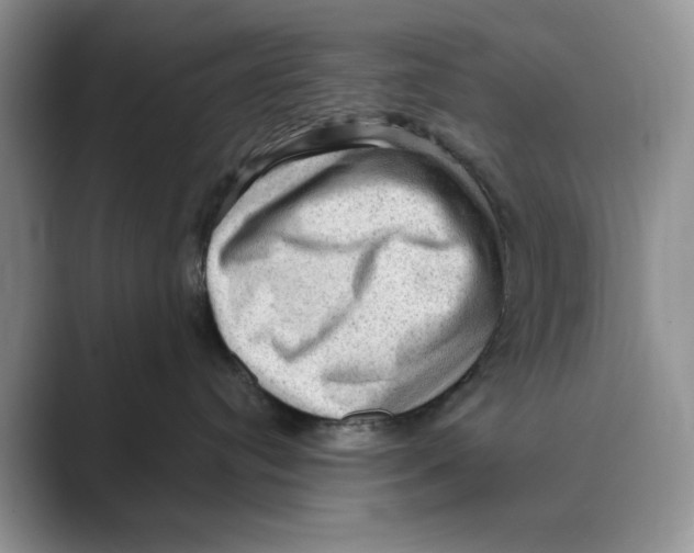 X0000088850384200707061037