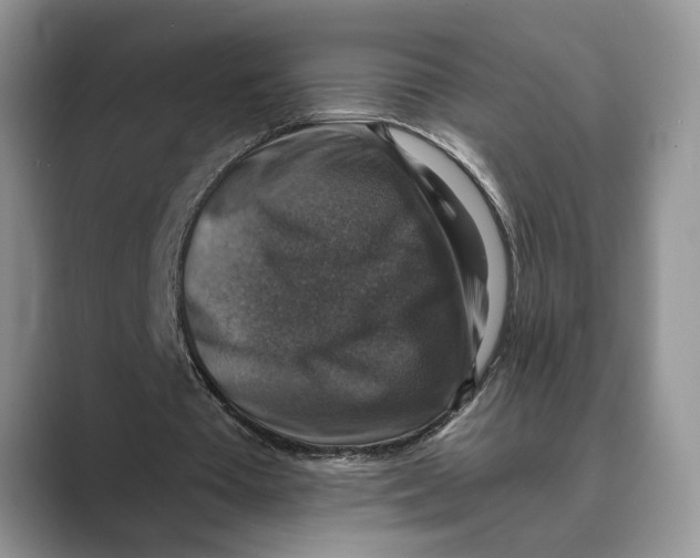 X0000088850385200707061037