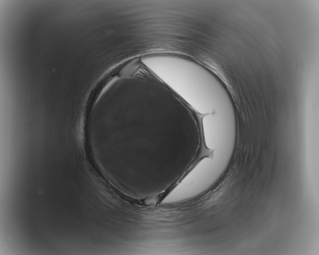 X0000088850387200707061037