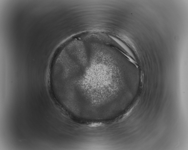 X0000088850388200707061037