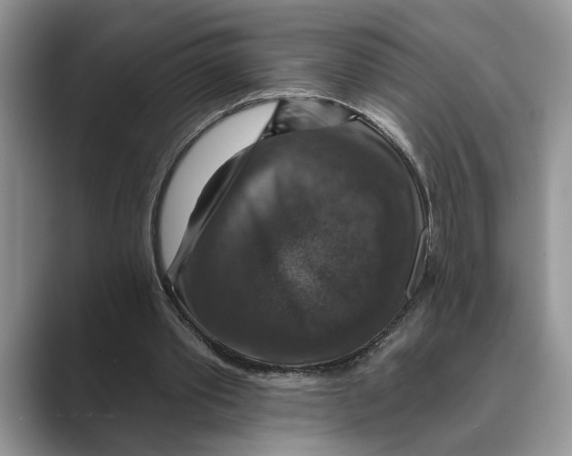 X0000088850389200707061037