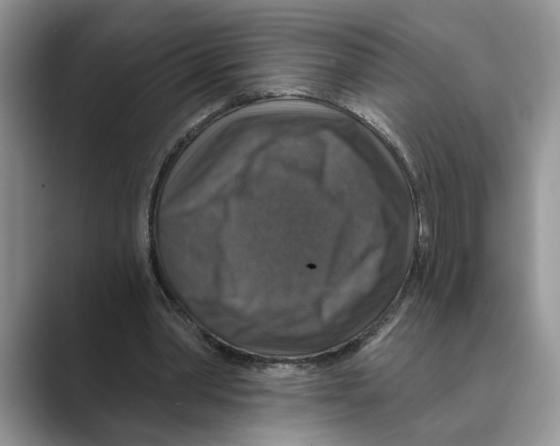 X0000088850390200707061037