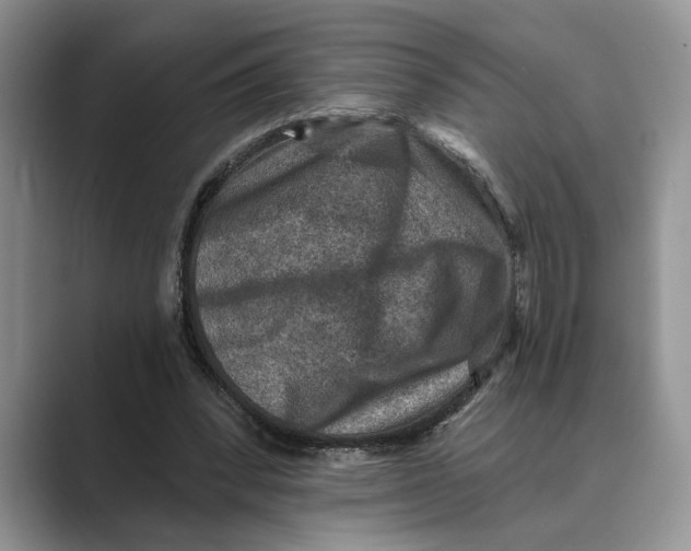 X0000088850392200707061037