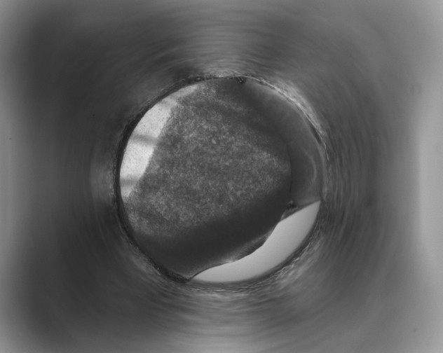 X0000088850393200707061037