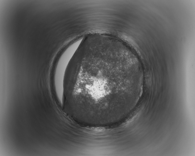 X0000088850395200707061037